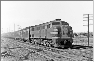 Cootamundra 4445.jpg